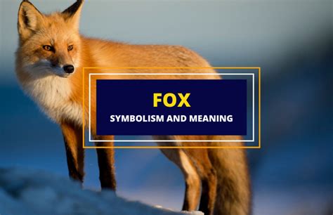 The Intriguing Allure of Fox Symbolism