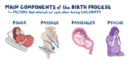 The Intriguing Concept of Birthing in Lucid Reveries