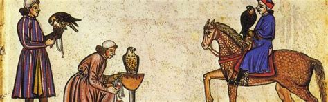 The Intriguing Realm of Falconry: A Glimpse into an Ancient and Mysterious Art