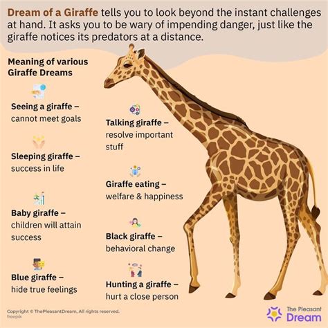 The Intriguing Symbolism of Dreams: Decoding the Enigma of Pursuit by a Giraffe