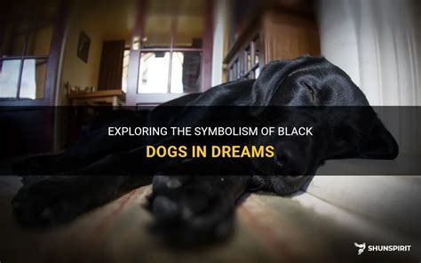 The Intriguing Symbolism of a Tiny Ebony Canine in Dreams