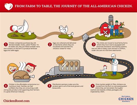 The Journey of Pepper: From Farm to Your Table