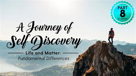 The Journey to Self-Discovery: Embracing the Insights from Our Dream World