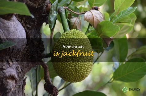 The King of Fruits: Uncovering the Royal Origins of Jackfruit