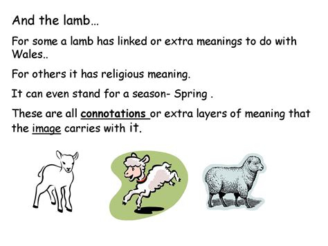 The Lamb as a Metaphor: Unearthing the Associations and Connotations