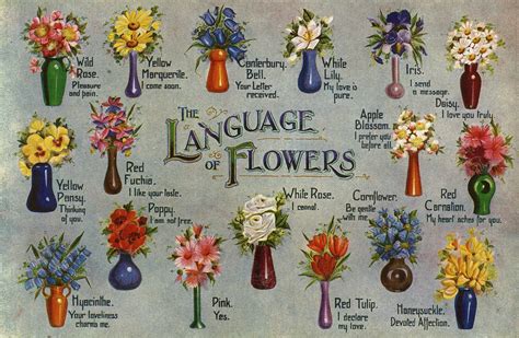 The Language of Flowers: Unveiling Their Concealed Significance