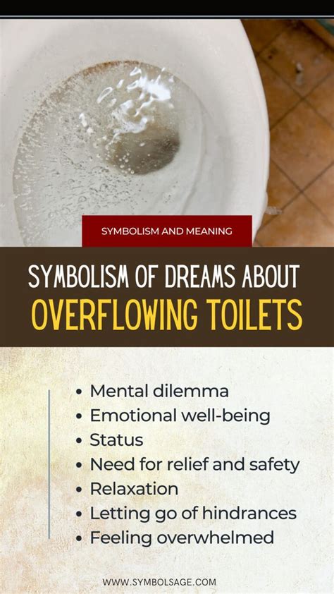 The Link Between Toilet dreams and Emotional Stress