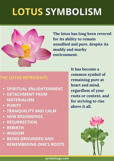 The Lotus as a Symbol of Spiritual Enlightenment