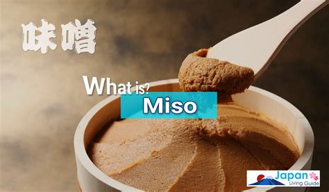 The Magic of Miso: An Essential Ingredient in Japanese Gastronomy