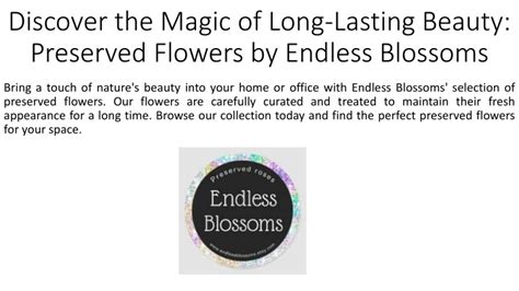 The Magical Appeal of Preserved Blossom Fragments