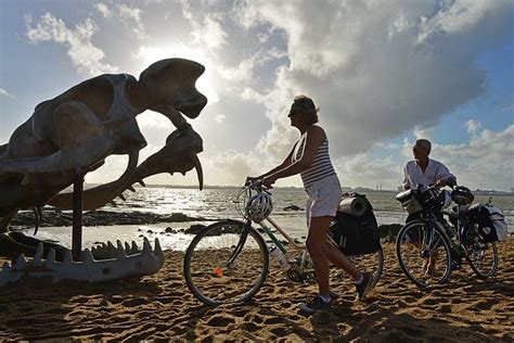 The Magnificence of Aspiring for Greatness: Embracing the Majesty of Enormous Sea Surges