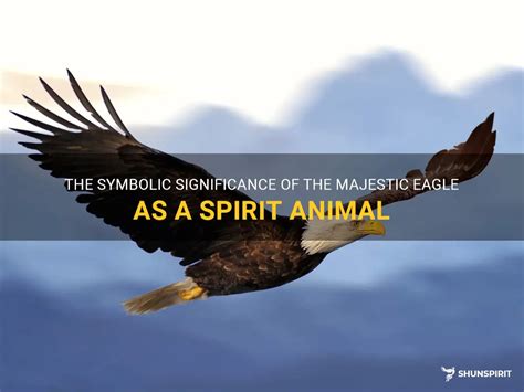 The Majestic Black Eagle: A Symbolic Link to the Spirit World