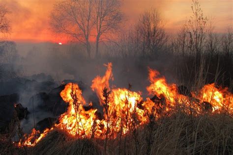 The Meaning Behind Dreaming of a Conflagration in a Residential Complex