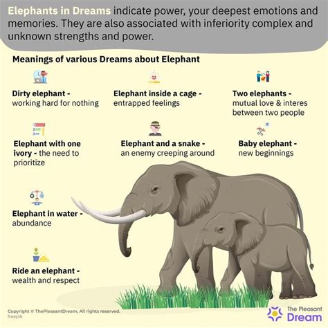 The Meaning Behind Elephant Aggressions in Dreams