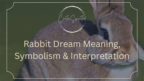 The Meaning and Importance of a Monochrome Bunny in One's Dreams