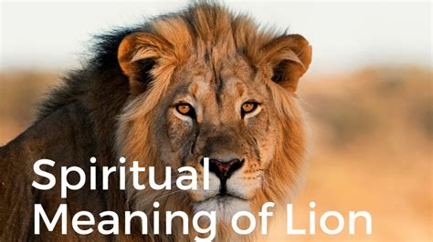 The Meaning of the Majestic Lion's Paw in Spiritual Practices