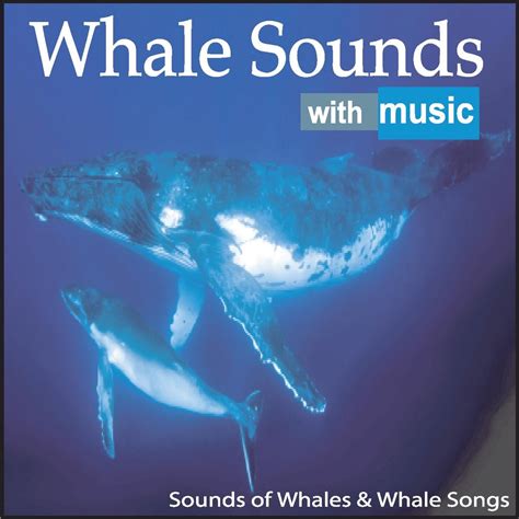 The Mesmerizing Realm of Whale Songs: Patterns and Meanings