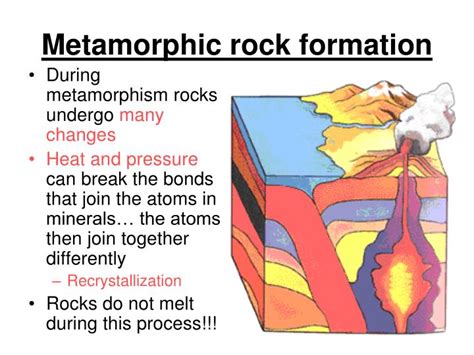 The Metamorphic Influence of a Butterfly's Reverie Beneath the Fluid Medium