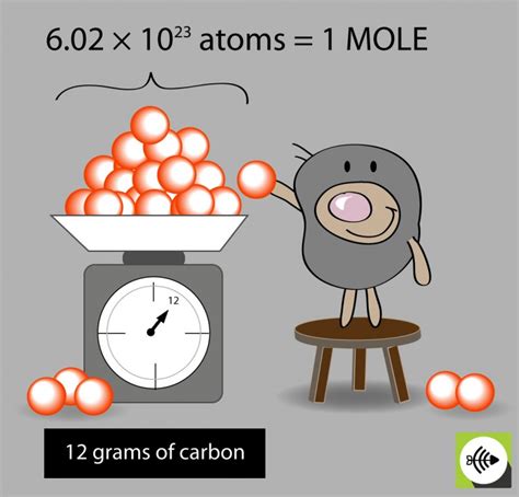 The Mole as a Symbol of Subconscious Forces: What Does it Represent?