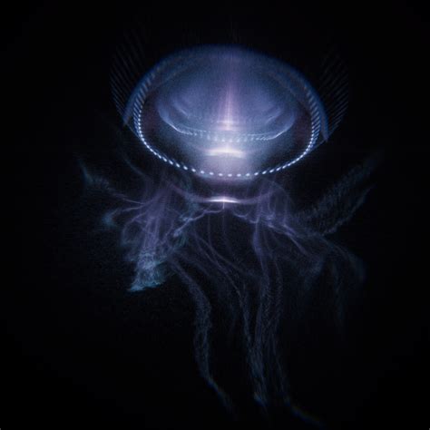 The Mysteries of Deep-Sea Organisms: Shedding Light on the Abyss