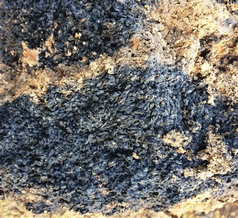 The Mysterious Vision of Scorched Grains