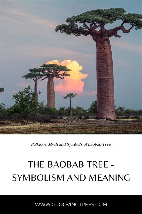 The Mythical Baobab: A Symbol of Power and Wisdom