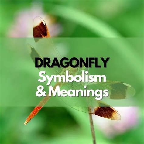 The Mythical Origins of the Dragonfly: From Ancient Legends to Modern Interpretations