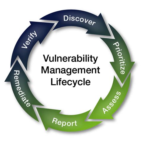 The Needle and Vulnerability: Examining the Connection