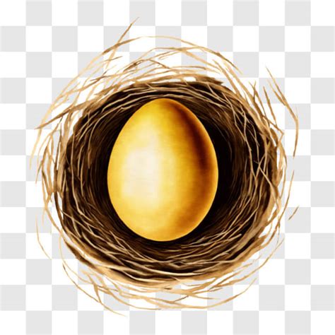 The Nest as a Symbolic Representation