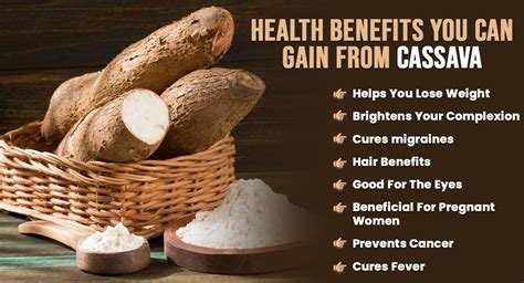 The Nutritional Bonanza: Health Benefits of Including Cassava in Your Diet