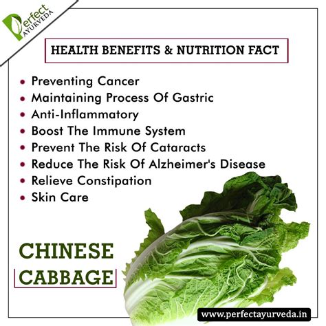 The Nutritional Powerhouse: Chinese Cabbage