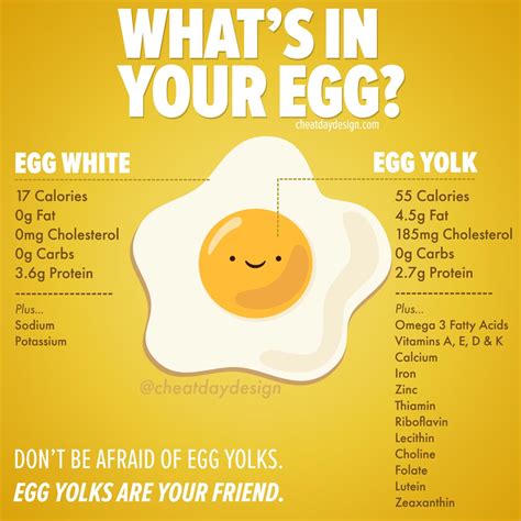 The Nutritional Powerhouse: Discovering the Health Benefits of Egg Yolks