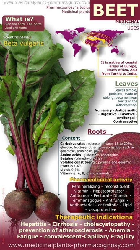 The Nutritional Value of Beetroot: Unveiling its Health Benefits