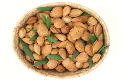 The Nutty History of Almonds: From Ancient Times to Modern-day Popularity