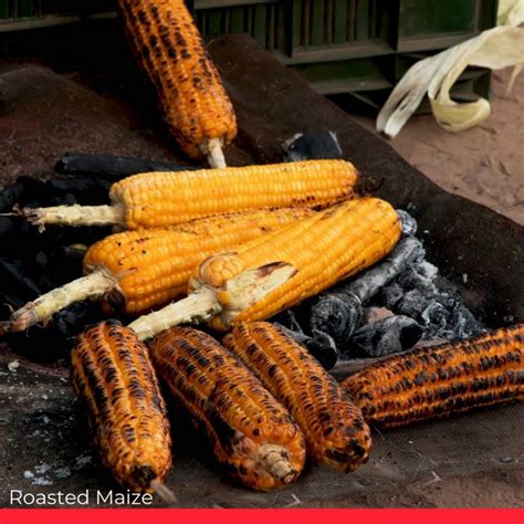 The Origin of Roasted Maize: A Culinary Tradition