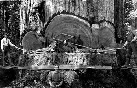 The Origins of Dreams Involving Figures Composed of Timber: A Historical Perspective