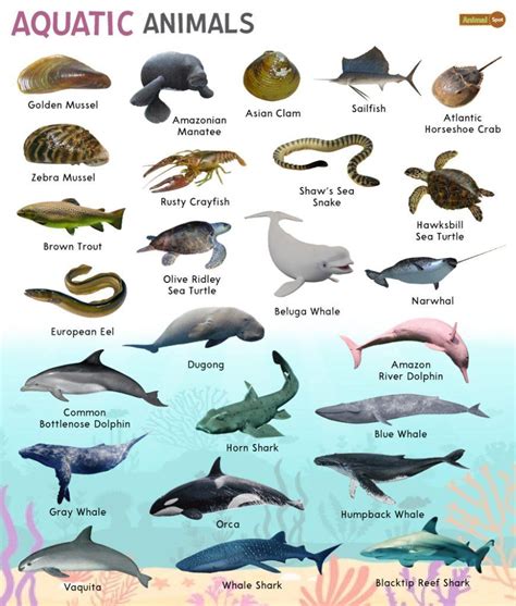 The Origins of Terrestrial Mobility in Aquatic Animals