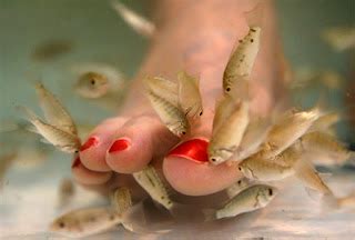 The Peculiar Pleasures and Sensations of Nibbling on Toes: The Psychology Behind the Practice