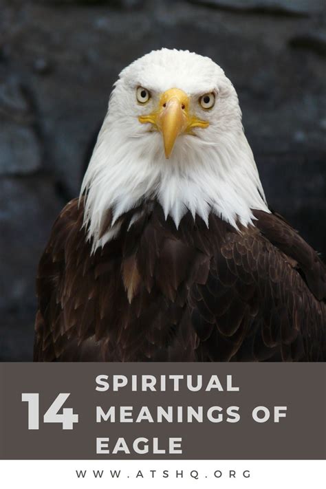 The Personal Symbolism of Eagles and Hawks