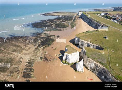 The Phenomenal Kingdom of Aerial Botany