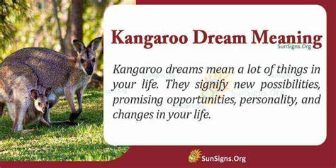 The Physical Associations of Kangaroos and Injuries in Dream Interpretation