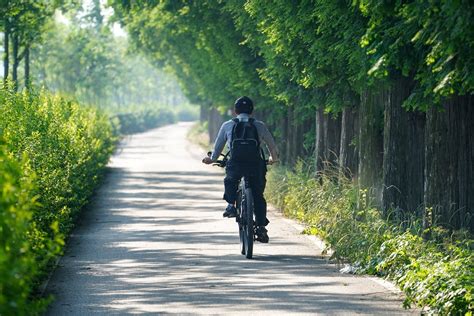 The Pleasure of Cycling: Exploring the Advantages of Pedaling Alongside a Companion