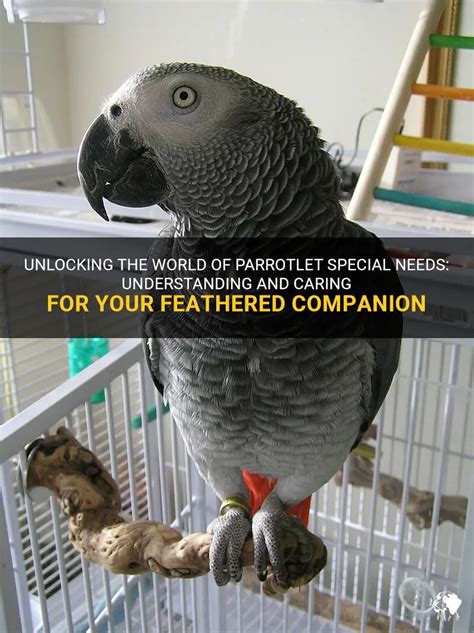 The Pleasures of Having a Youthful Feathered Companion