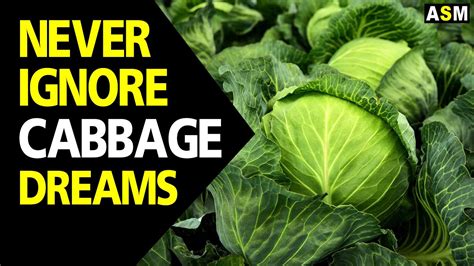 The Popular Interpretations of Cabbage Leaf Dreams