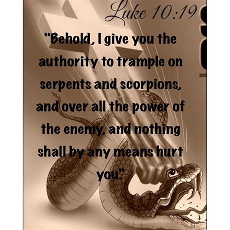 The Power and Fear Associated with Serpents