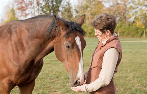 The Power of Interactions Between Humans and Horses: Promoting Healing and Connection