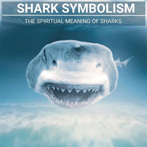 The Profound Depths of Shark Symbolism