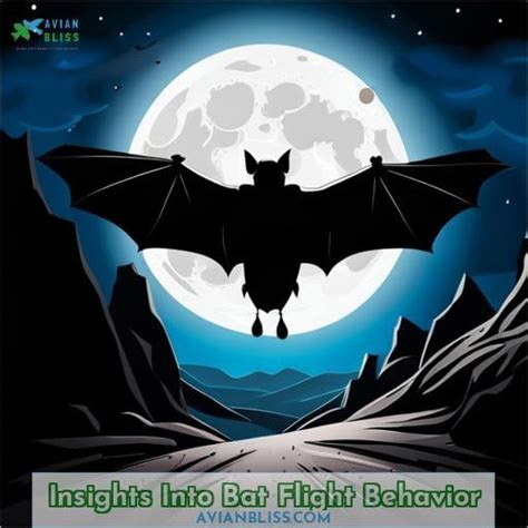 The Profound Meanings and Insights Unveiled by the Flight of Bats in Dreams