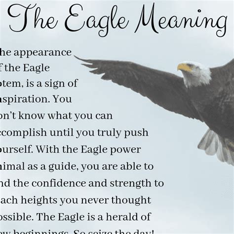 The Profound Significance of Valiant Eagles Battling: Unveiling the Spiritual Depth