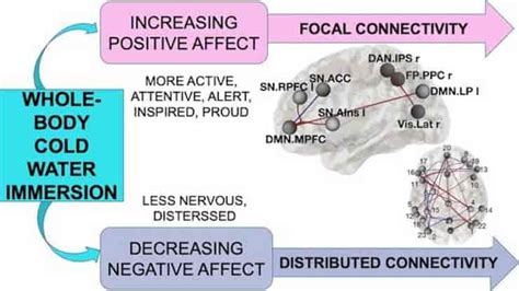 The Psychological Aspects of Immersion in Cold Water: Enhancing Mental Well-being